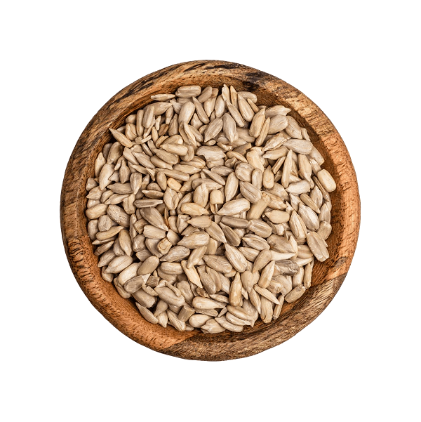 Graines de tournesol